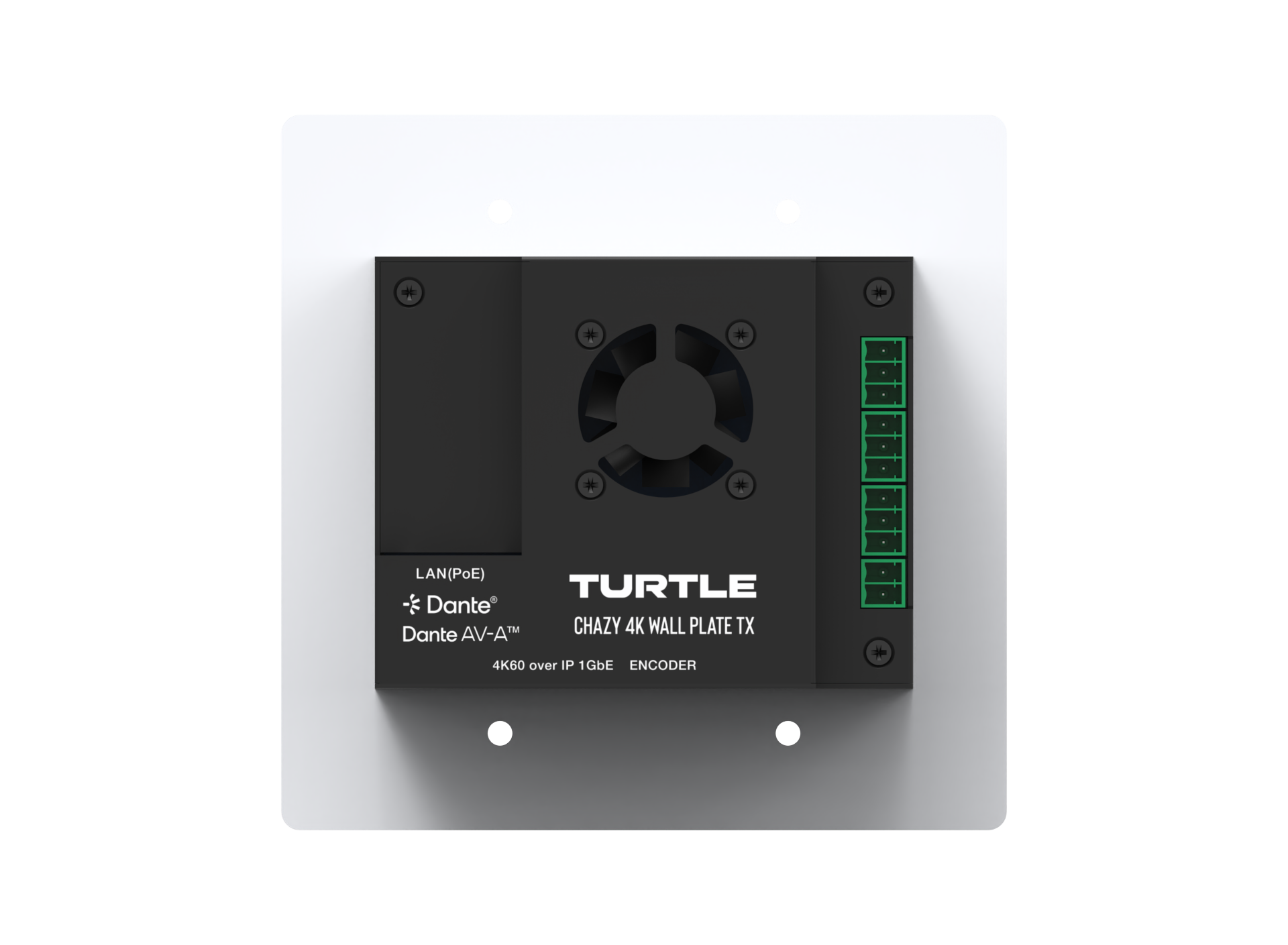 Schildpadaudiocomponent op een witte achtergrond