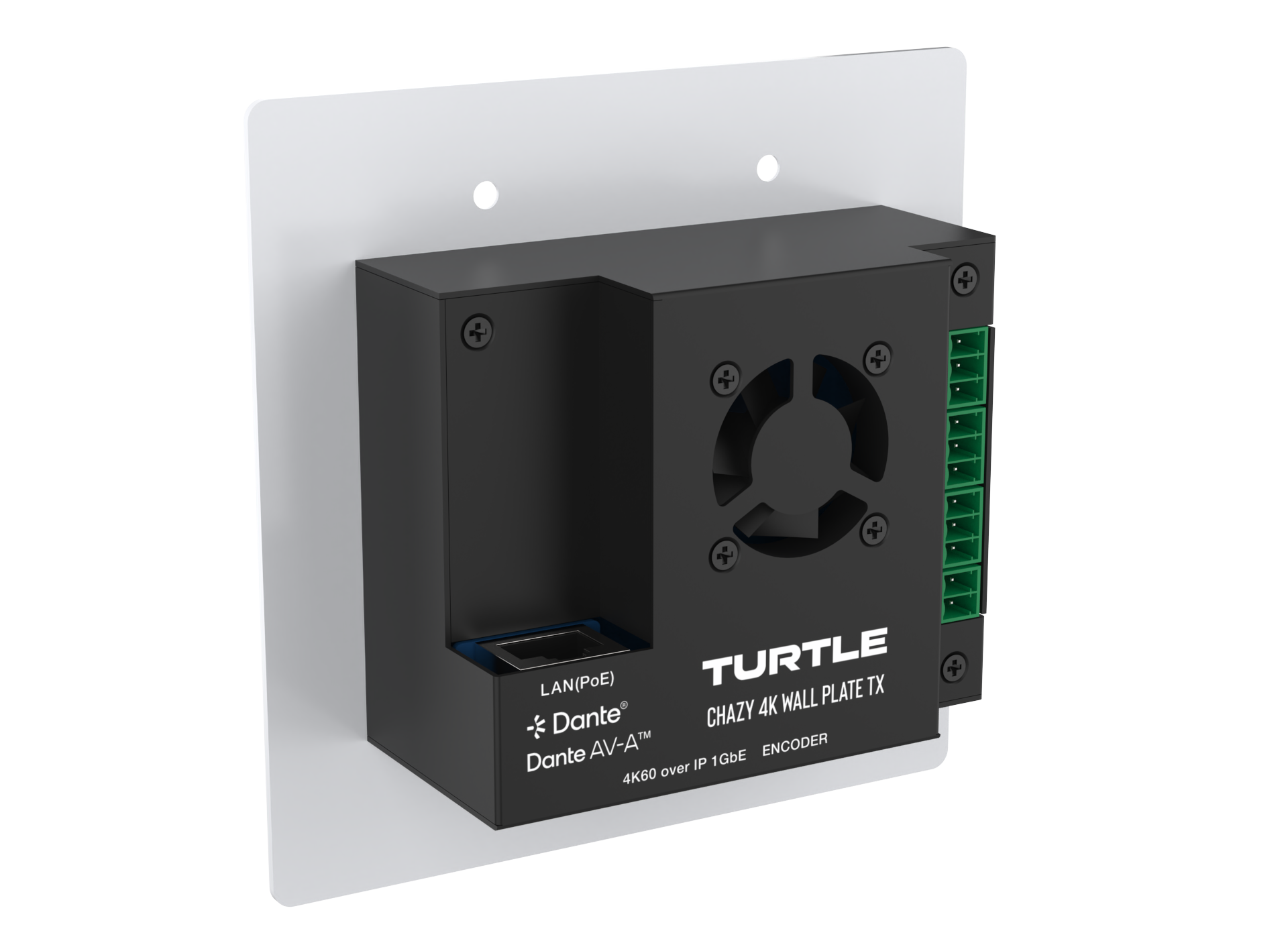 Turtle-audioapparaat met 'Dante'- en 'LANPUB'-logo op een witte achtergrond